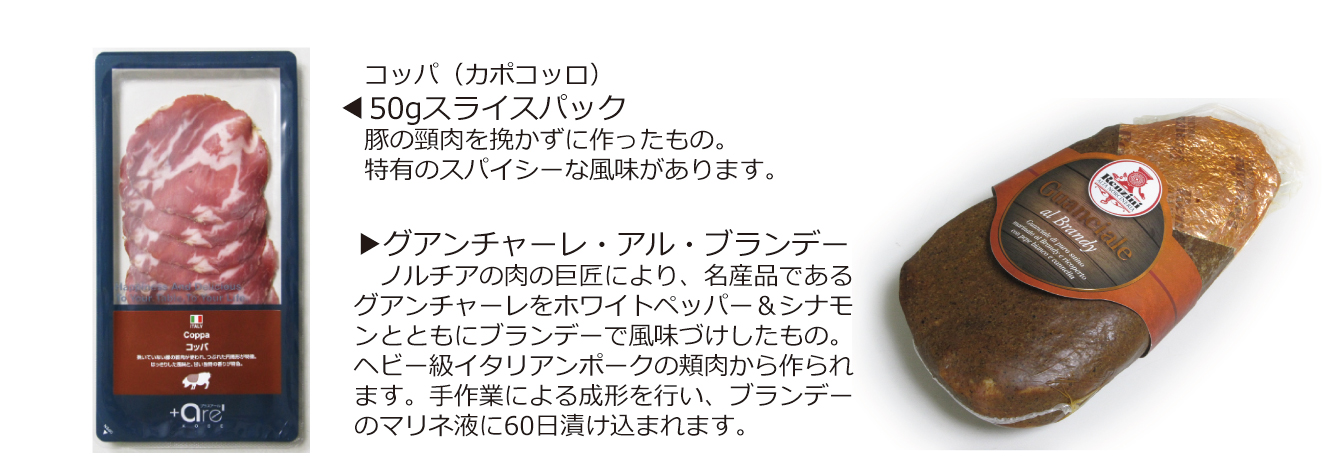 renzini_notice