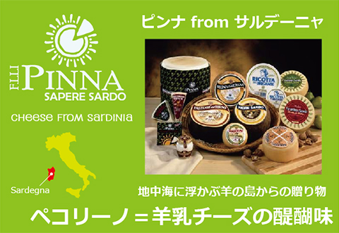 pinna